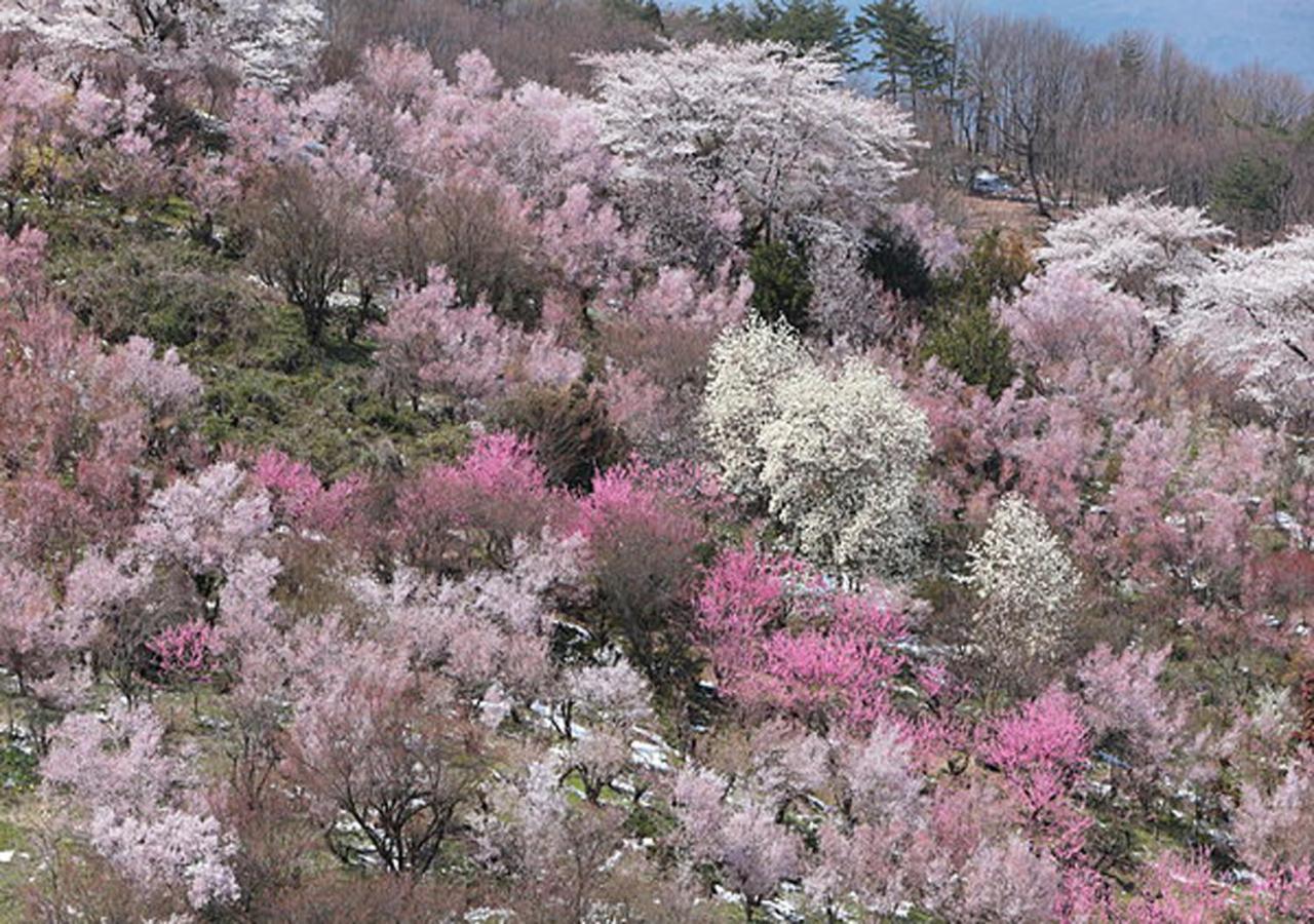 土湯温泉 やすらぎの宿 向瀧旅館 Фукусіма Екстер'єр фото